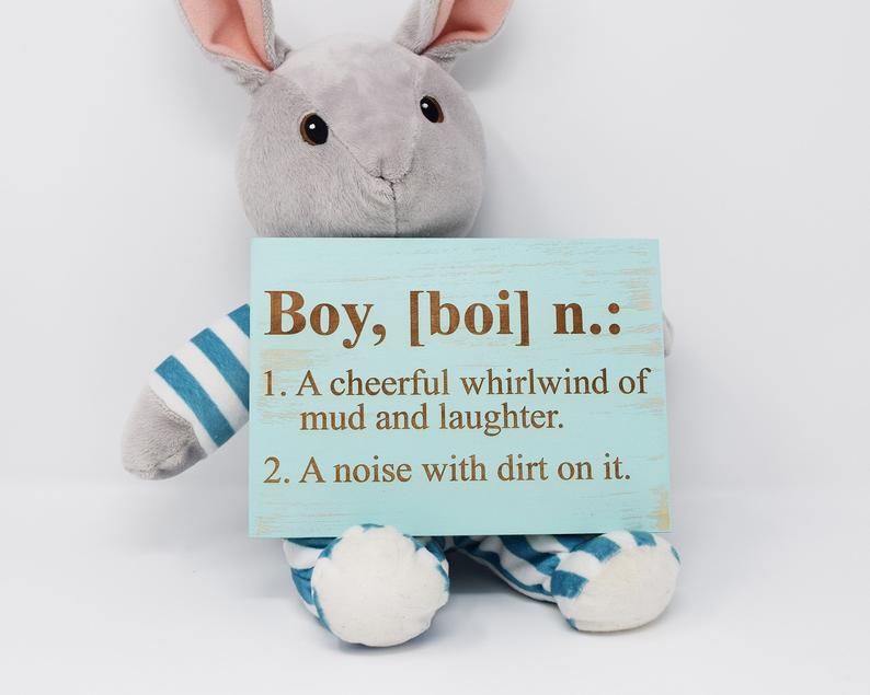 Boy, [boi] n. 1. A cheerful whirlwind of mud and laughter. 2. A noise with dirt on it. - Shore Thing Laser