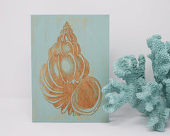 Conch Seashell - Shore Thing Laser