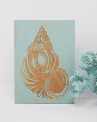 Conch Seashell - Shore Thing Laser
