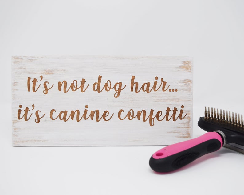 It's Not Dog Hair... It's Canine Confetti - Shore Thing Laser