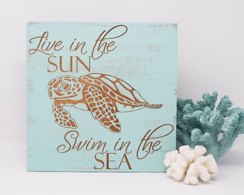 Live in the Sun, Swim in the Sea - Shore Thing Laser