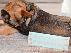 The Welcome Home Doggie Dance Done Here - Shore Thing Laser