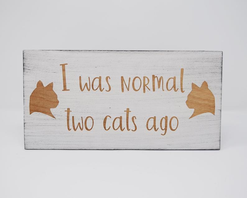 I Was Normal Two Cats Ago - Shore Thing Laser