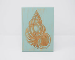 Conch Seashell - Shore Thing Laser