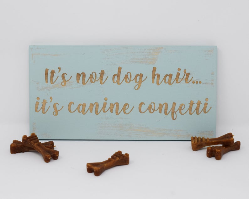 It's Not Dog Hair... It's Canine Confetti - Shore Thing Laser