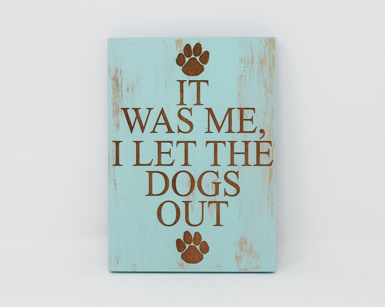 It Was Me, I Let The Dogs Out - Shore Thing Laser