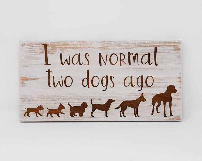 I was normal two dogs ago - Shore Thing Laser