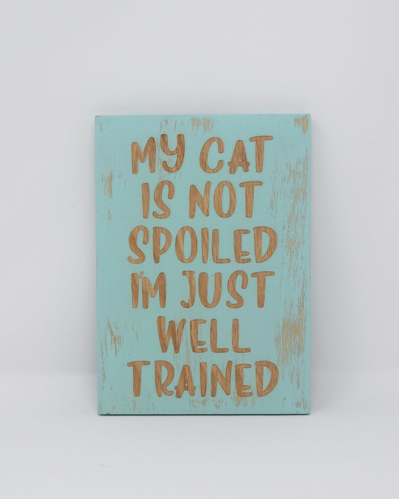 My Cat is Not Spoiled, I'm Just Well Trained - Shore Thing Laser