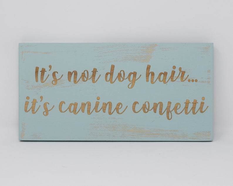 It's Not Dog Hair... It's Canine Confetti - Shore Thing Laser