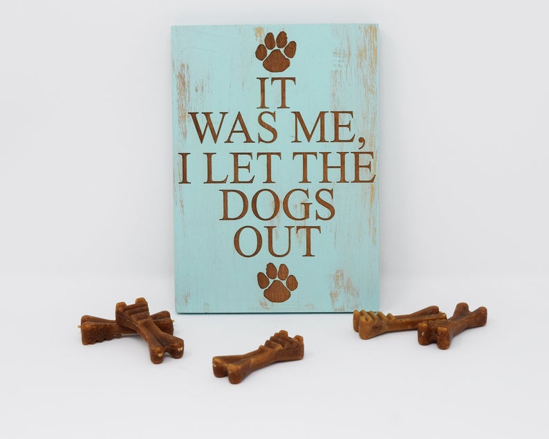 It Was Me, I Let The Dogs Out - Shore Thing Laser