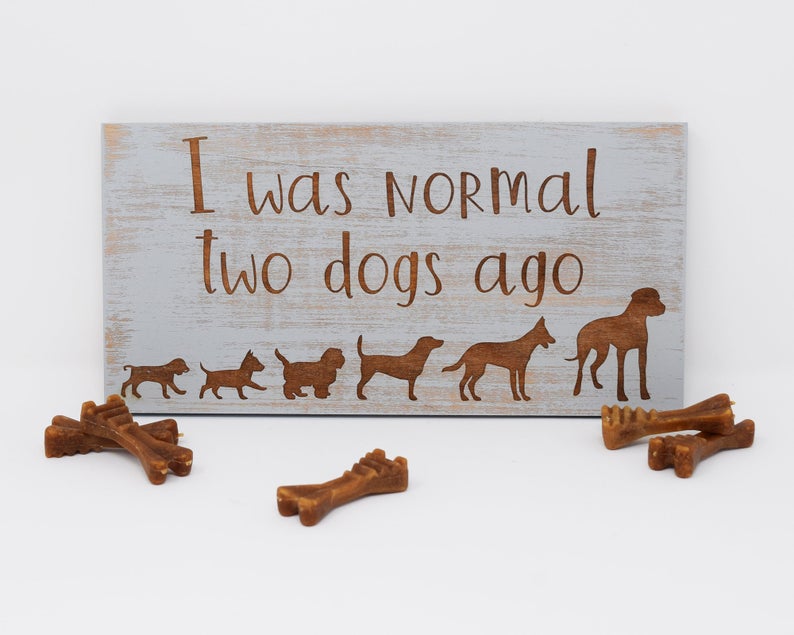 I was normal two dogs ago - Shore Thing Laser