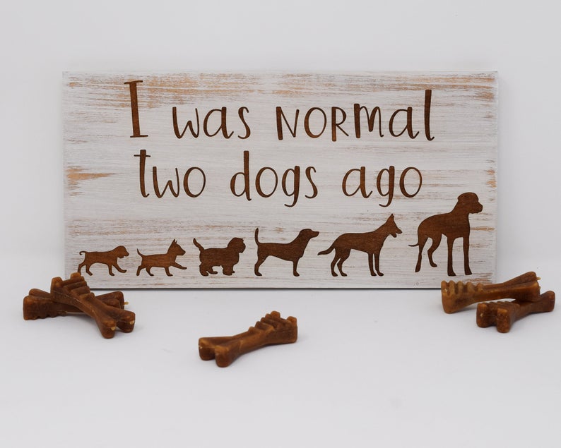 I was normal two dogs ago - Shore Thing Laser