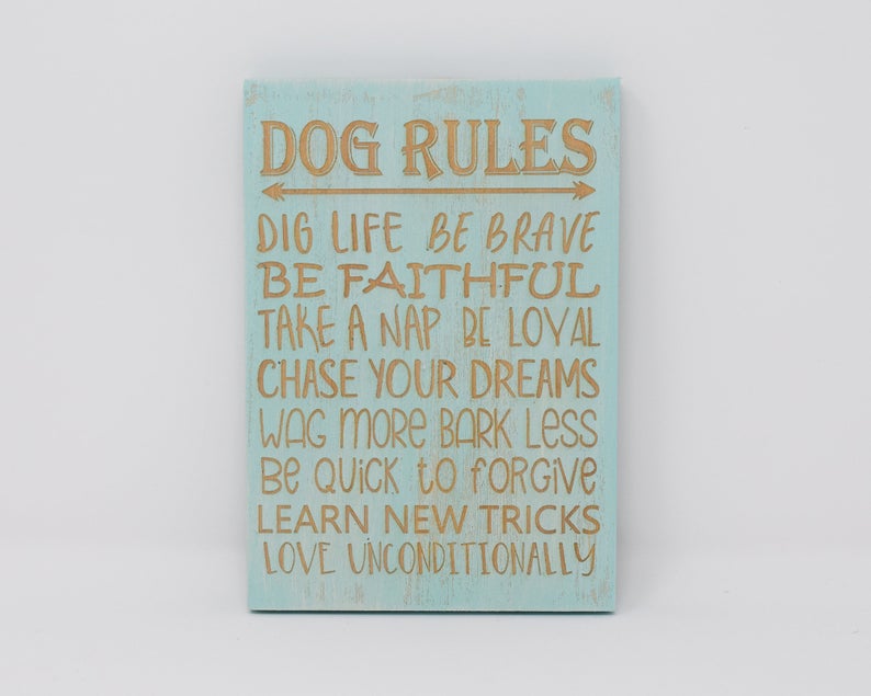 Dog rules, dig life, be brave, be faithful, take a nap, be loyal, chase your dreams, wag more bark less - Shore Thing Laser