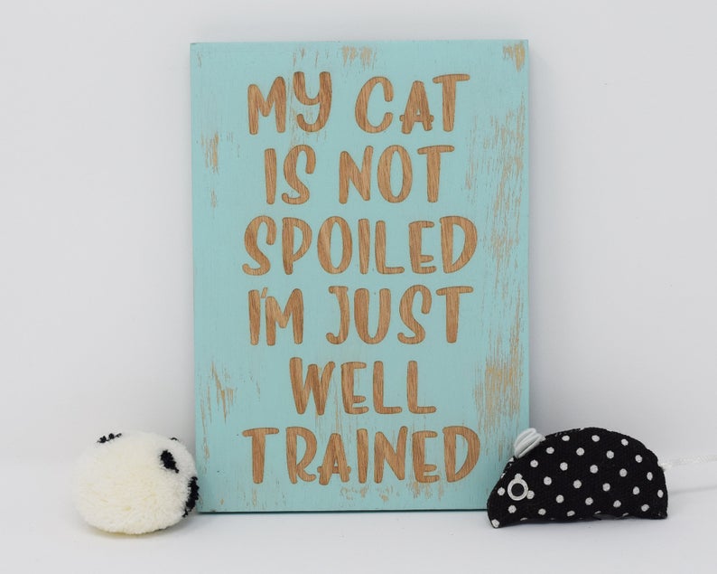 My Cat is Not Spoiled, I'm Just Well Trained - Shore Thing Laser