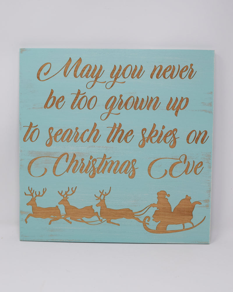 May you never be too grown up to search the skies on Christmas Eve - Shore Thing Laser