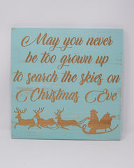 May you never be too grown up to search the skies on Christmas Eve - Shore Thing Laser