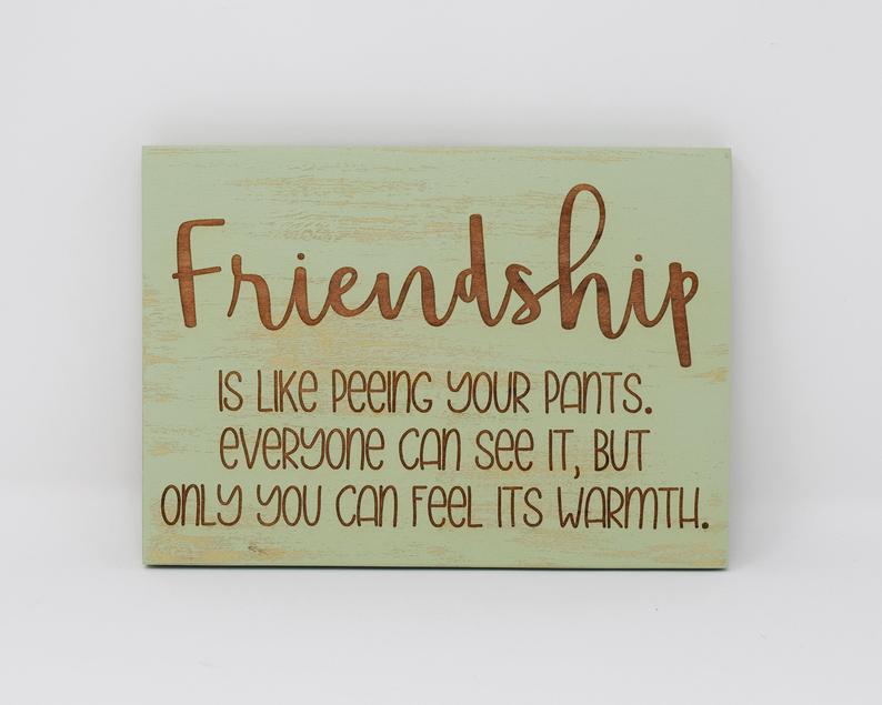 Friendship is like peeing your pants. Everyone can see it, but only you can feel its warmth - Shore Thing Laser